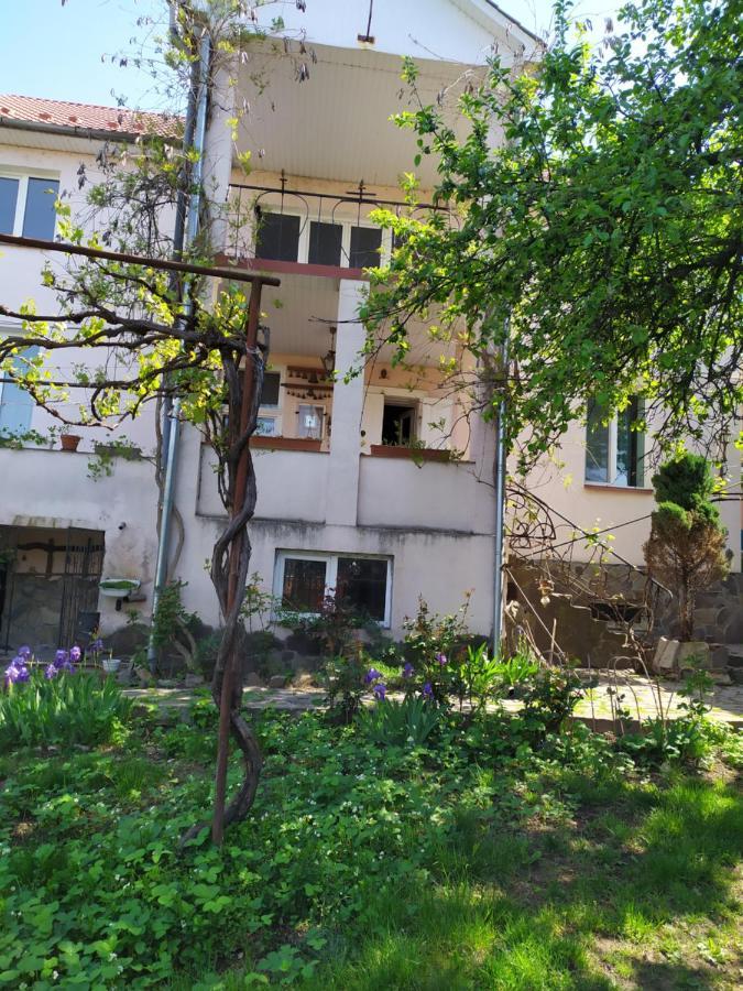 Vilni Kimnaty Hotel Mukatjevo Eksteriør billede